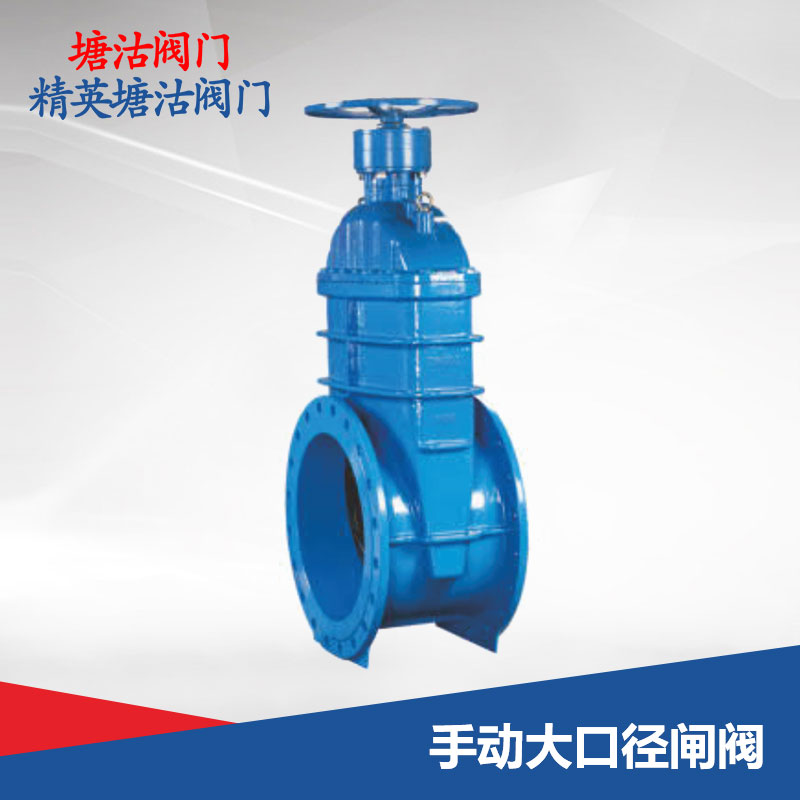 手動大口徑閘閥